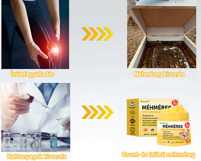 🍯🌿🍯 BEARNICA™ Bee Venom Advanced ízület- és csontkezelő krém🔥 (Utolsó napi akció, 80% kedvezmény